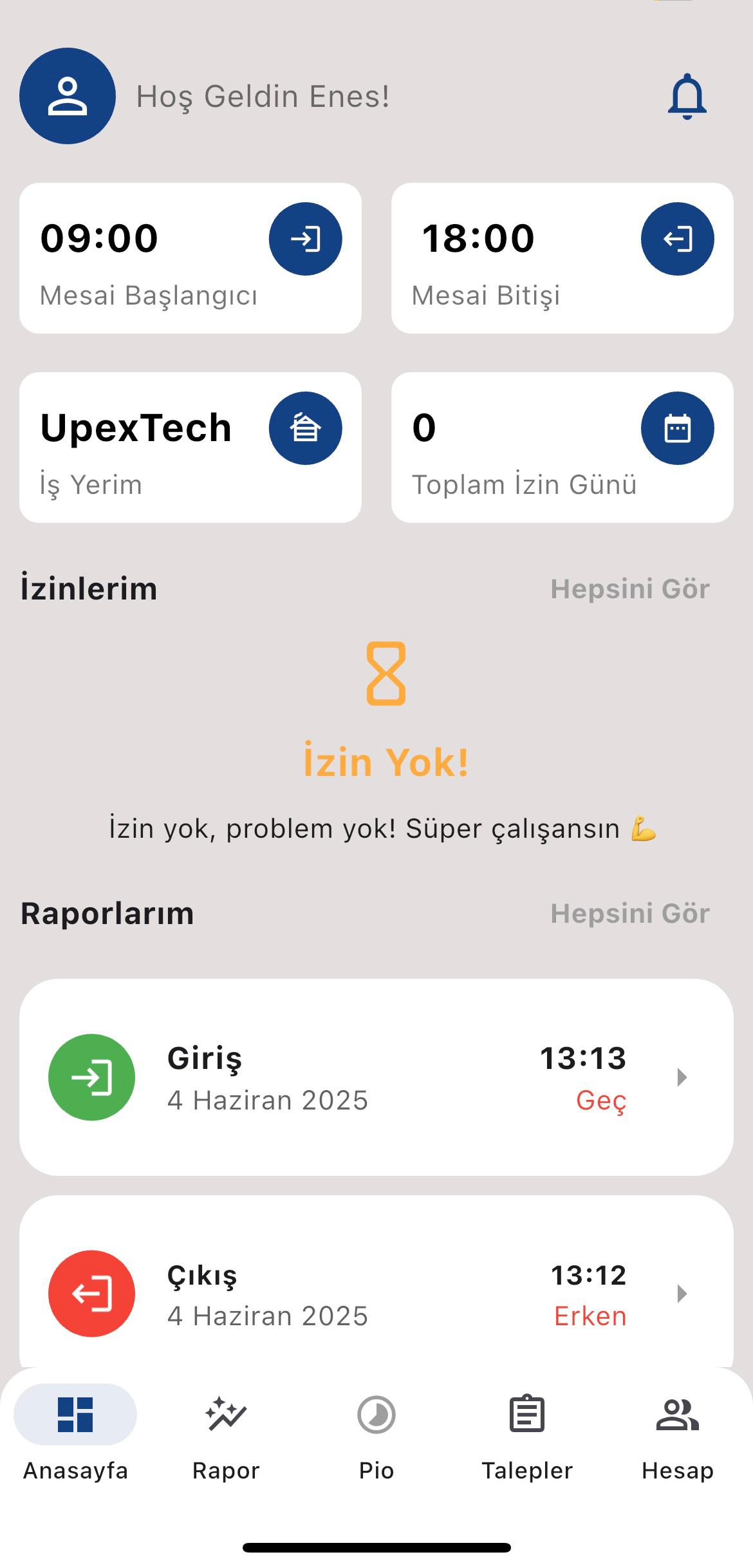Hizmet 1